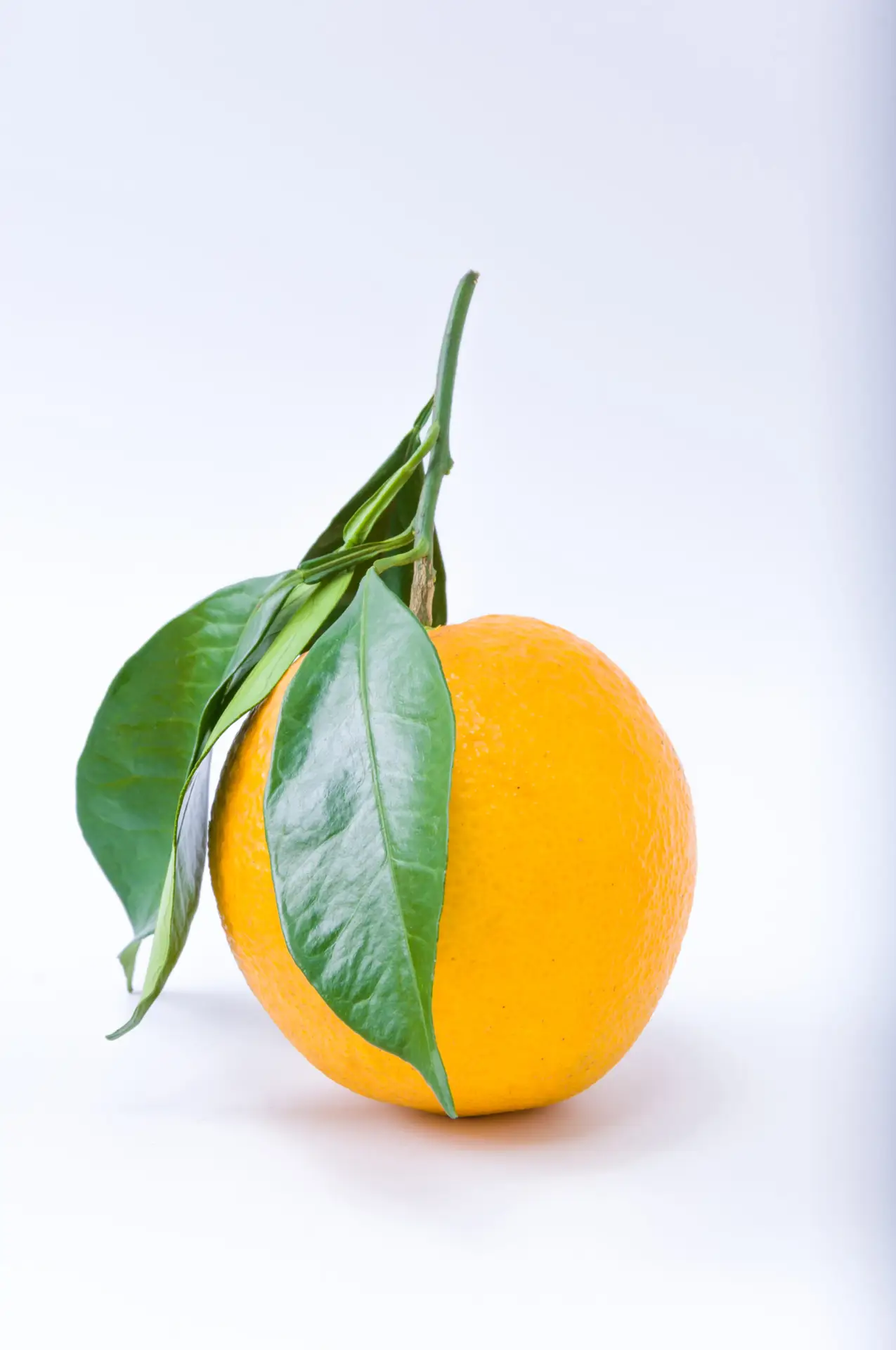 health-tasty-piece-object-whole